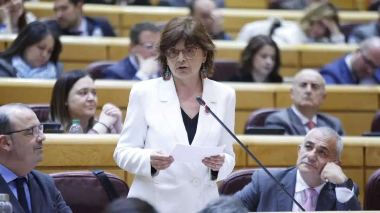 A senadora do BNG, Carme da Silva. (Foto: N&oacute;s Diario)