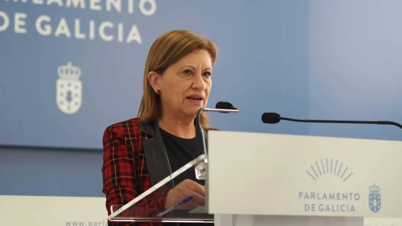 A viceportavoz parlamentaria do PSdeG, Elena Espinosa (Foto: PSdeG)