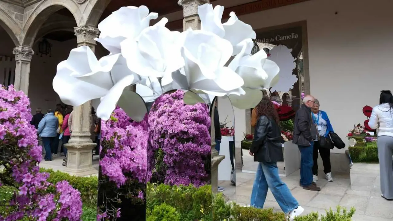 Exposici&oacute;n en Santiago, esta quinta feira. (Foto: Arxina)