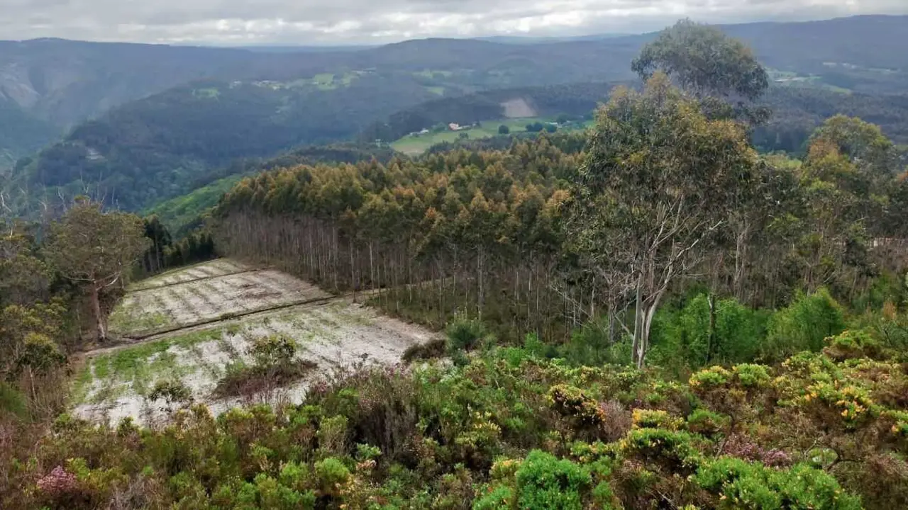 A tona sensible da terra en Monfero (comarca do Eume). (Foto: Susana Trigo)