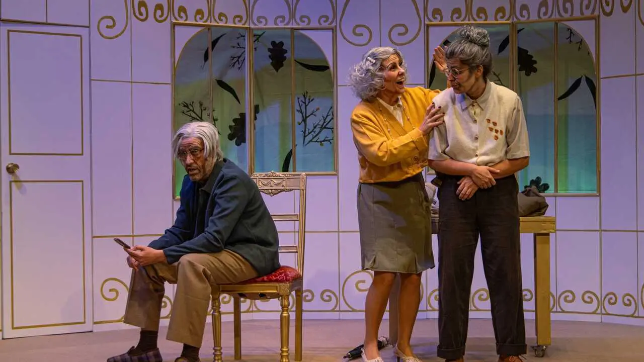 2026_04_11_p31cuartapeque_berenguela_cedeira