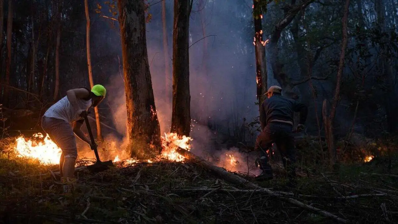 Varias persoas intentan sufocar o lume no incendio forestal de Ponteareas. (Foto: Elena Fern&aacute;ndez)
