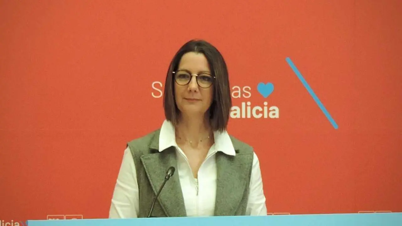 A viceportavoz do Grupo Parlamentario Socialista, Lara M&eacute;ndez (Foto: N&oacute;s Diario)