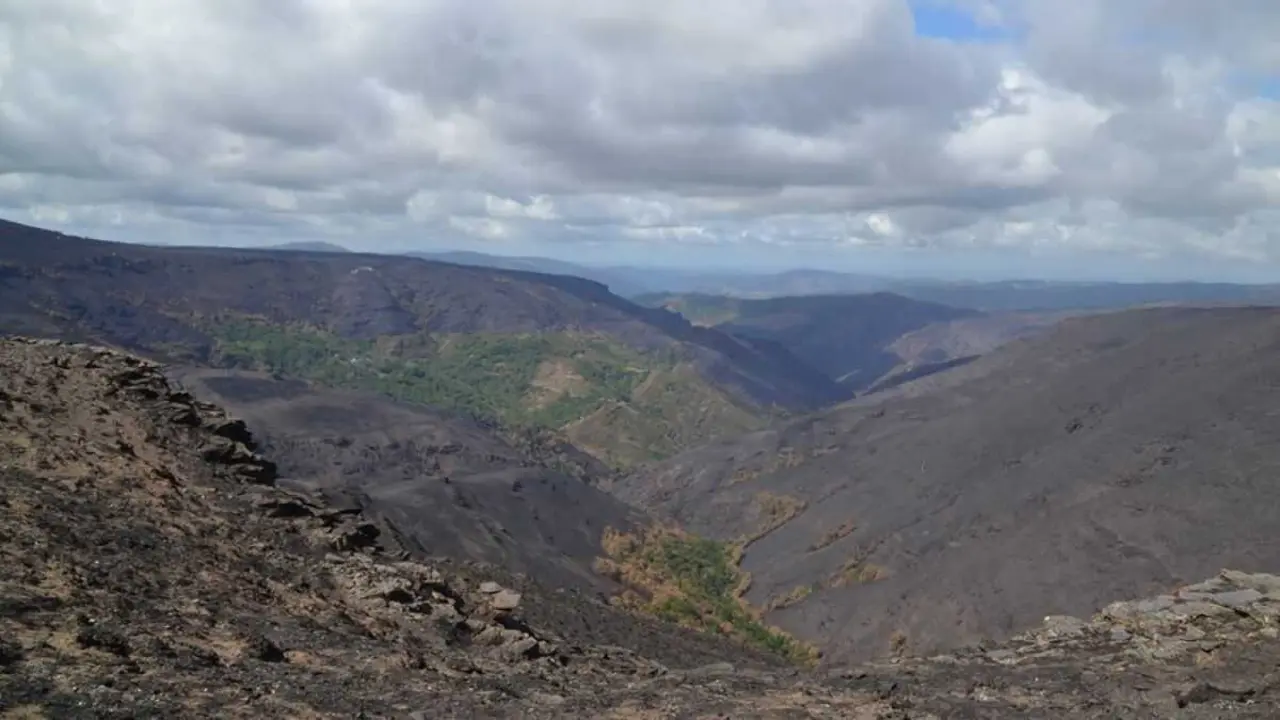 Monte queimado. (Foto: Cristina Fern&aacute;ndez Filgueira)
