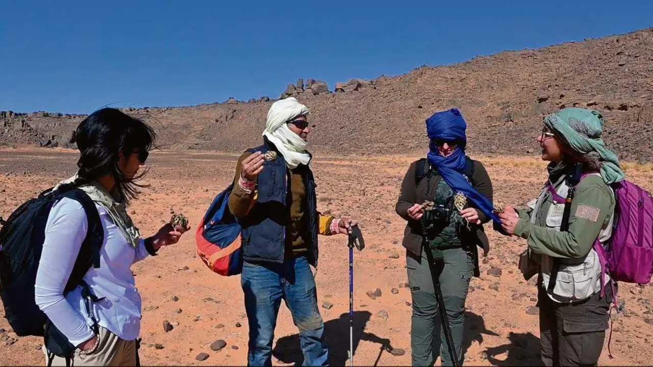 As compa&ntilde;eiras Pili, Ana e Xandra, da SAGA, falando no Tassili co gu&iacute;a Kadur (segundo pola esquerda) sobre as virtudes da Rosa de Nazaret. (Foto: Rafael Quinti&aacute;)