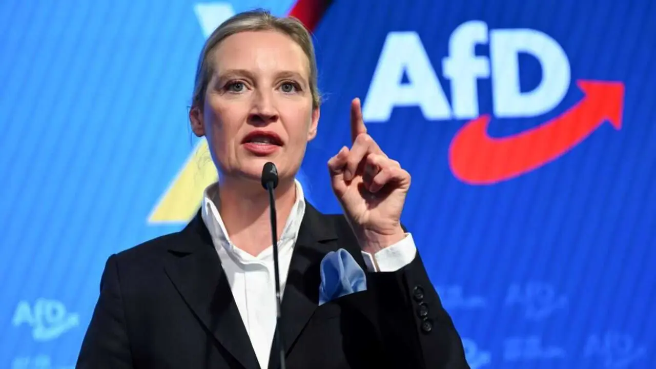 Alice Weidel, l&iacute;der de AfD. (Foto: Soeren Stache - DPA)