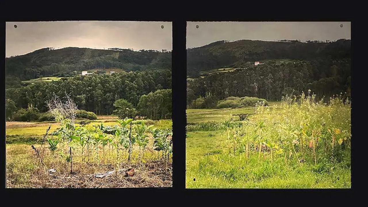 A exposici&oacute;n mostra d&uacute;as novas fotograf&iacute;as que reflicten estes cambios, convert&eacute;ndose as&iacute; nun traballo en proceso continuo. (Foto: Manuel Send&oacute;n)
