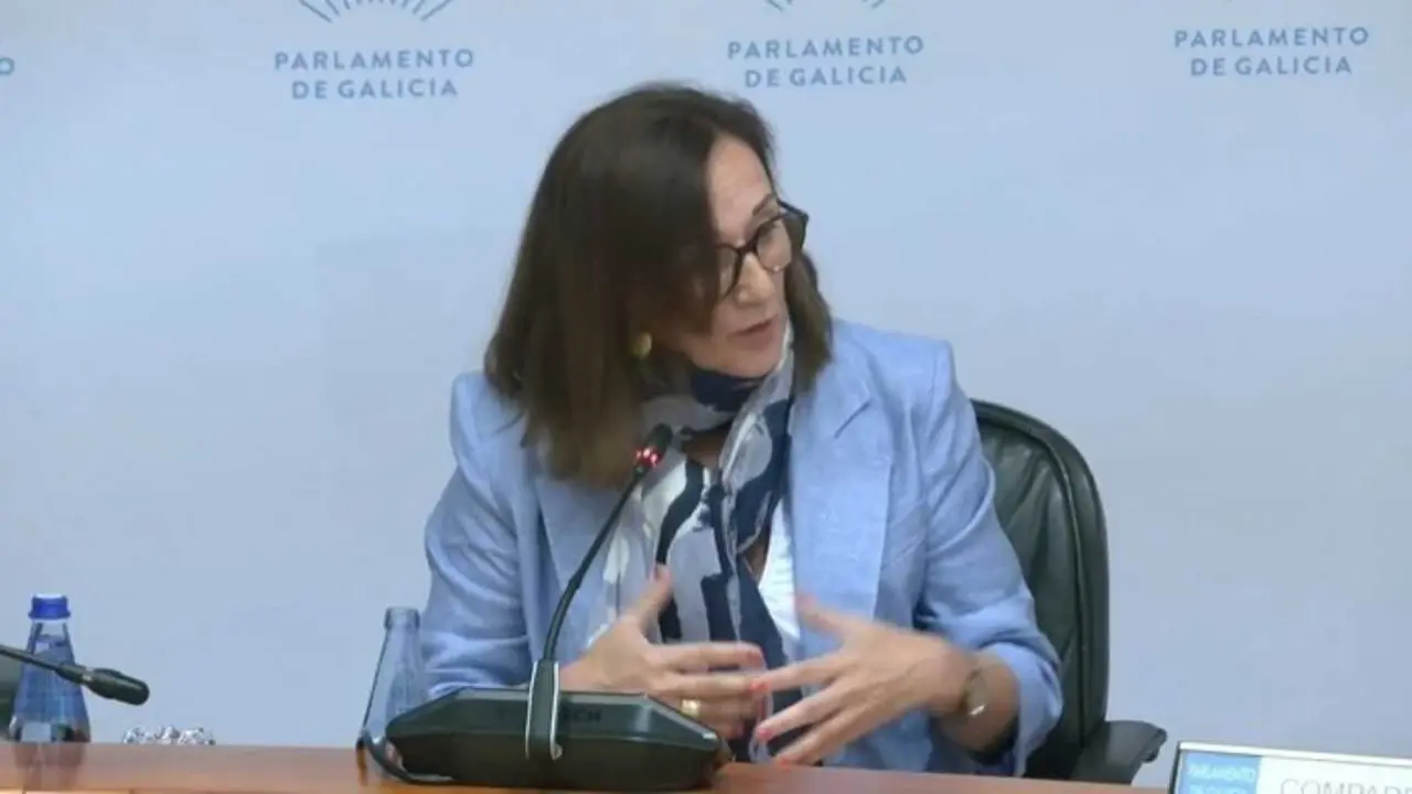 A directora xeral de Calidade Ambiental e Sostibilidade, Mar&iacute;a Jos&eacute; Echevarr&iacute;a, na comisi&oacute;n. (Foto: Captura)