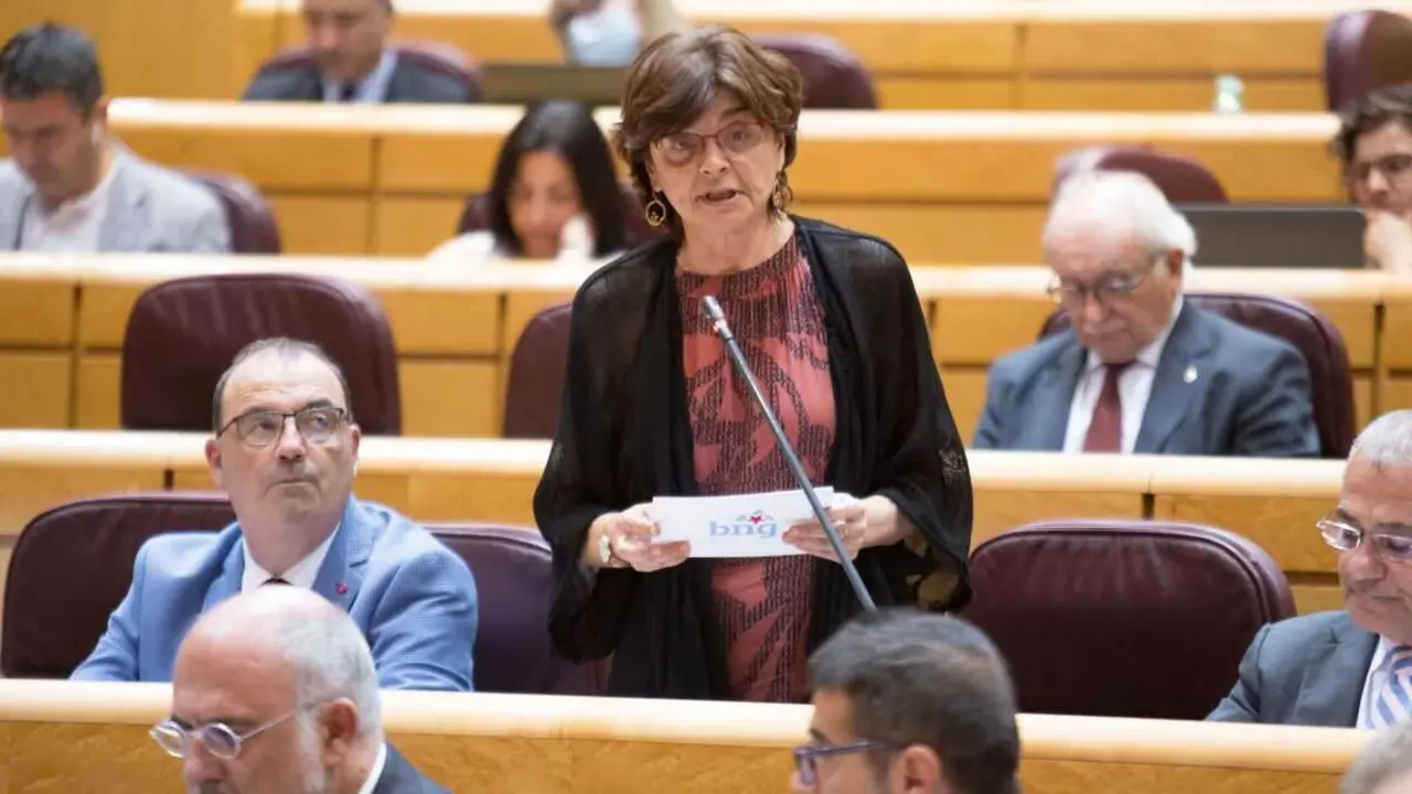 A senadora do BNG, Carme da Silva. (Foto: N&oacute;s Diario)