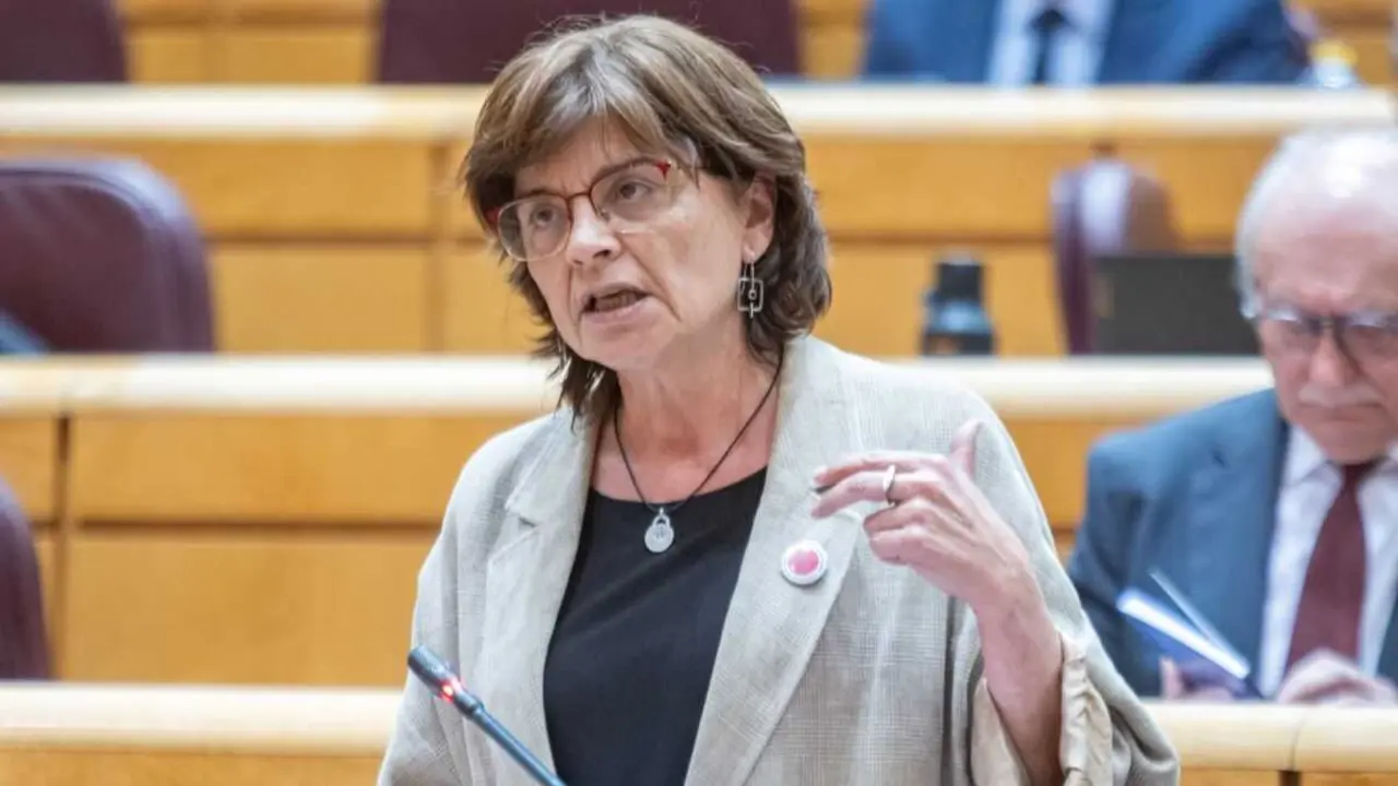 A senadora do BNG, Carme da Silva. (Foto: N&oacute;s Diario)