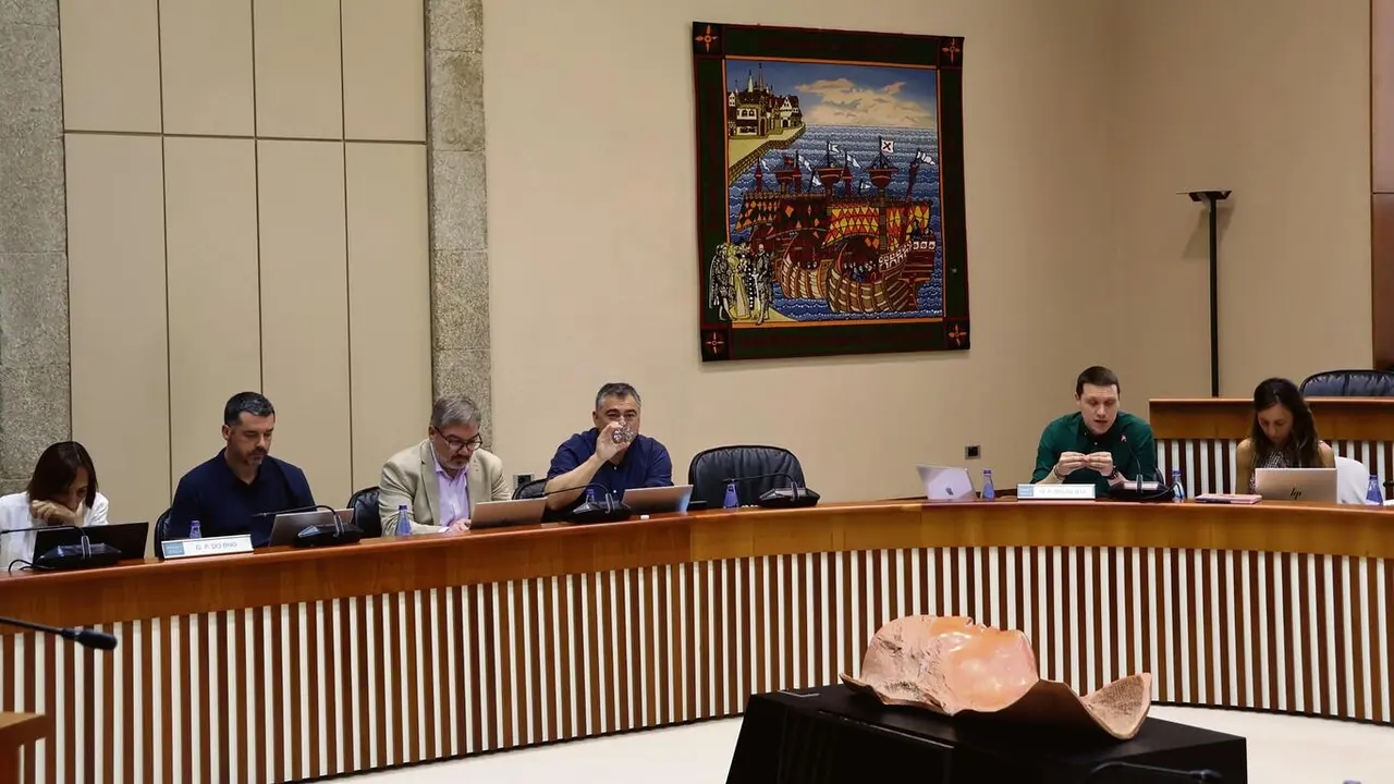 Rosana P&eacute;rez, Mon Fern&aacute;ndez, &Oacute;scar Insua, Xos&eacute; Manuel Golpe, Aitor Bouza e Paloma Castro. (Foto Parlamento da Galiza)
