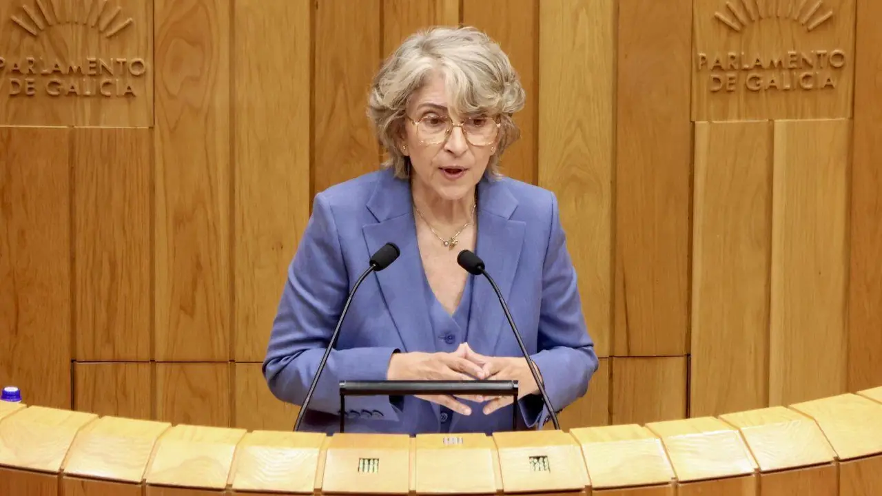 A deputada socialista Silvia Longueira no Parlamento de Galiza esta terza feira. (Foto: N&oacute;s Diario)