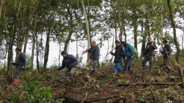 voluntarios en Froxan brigadas imaxe de Froxan
