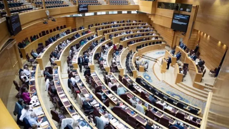 PP, Vox e Ciudadanos opux&eacute;ronse &aacute; lei. (Foto: Senado)