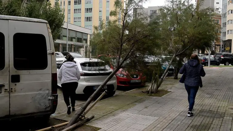 &Aacute;rbores ca&iacute;das no centro da Coru&ntilde;a. (Foto: M. Dylan / Europa Press)
