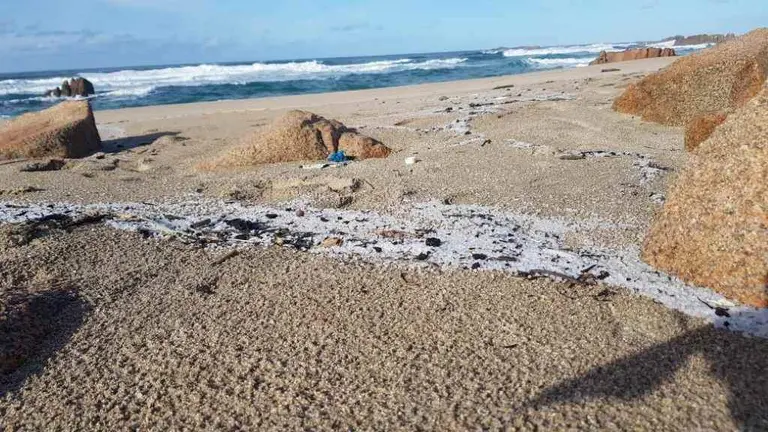 Vertedura de pellets de pl&aacute;stico na praia de Reira en Camari&ntilde;as (Terra de Soneira). (Foto: Noia Limpa)