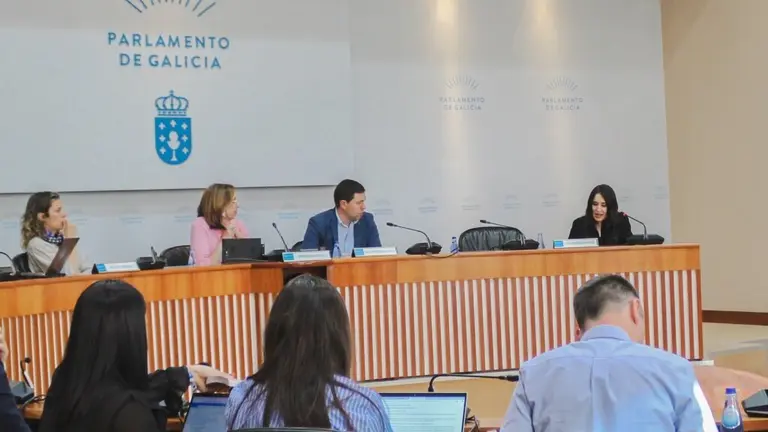 Concepci&oacute;n Pombo, primeira pola dereita, na s&uacute;a intervenci&oacute;n na comisi&oacute;n parlamentaria da CRTVG, o pasado 27 de maio. (Foto: Clara Xanthina)