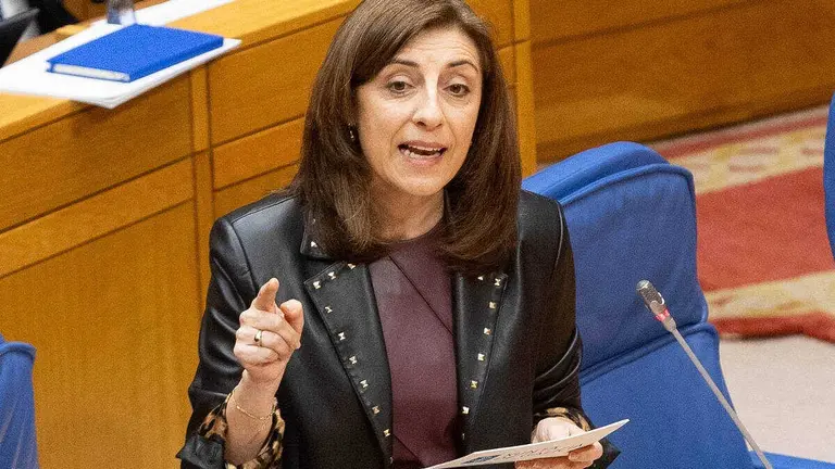 EuropaPress_7321112_conselleira_medio_ambiente_angeles_vazquez_pleno