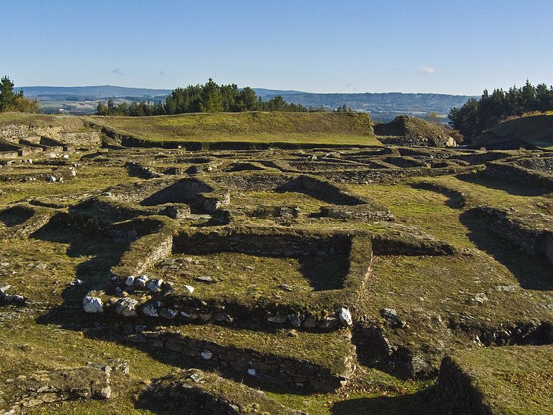 Castro de Viladonga