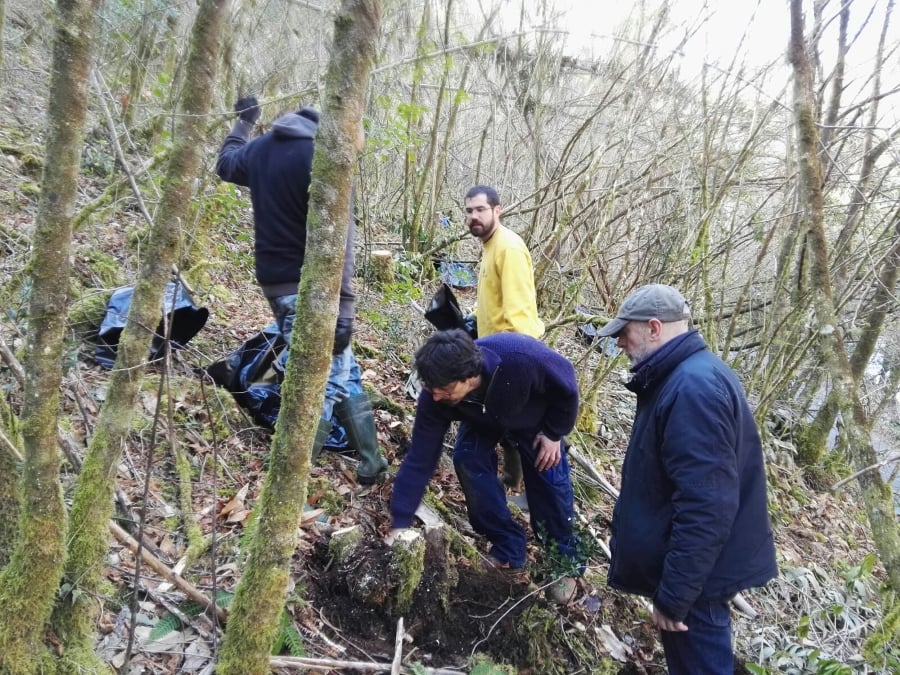 Asociación Betula (Imaxe: Asociación Betula)