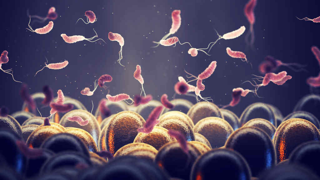 A dobre cara das bacterias: promotoras do cancro e as nosas aliadas para combatelo