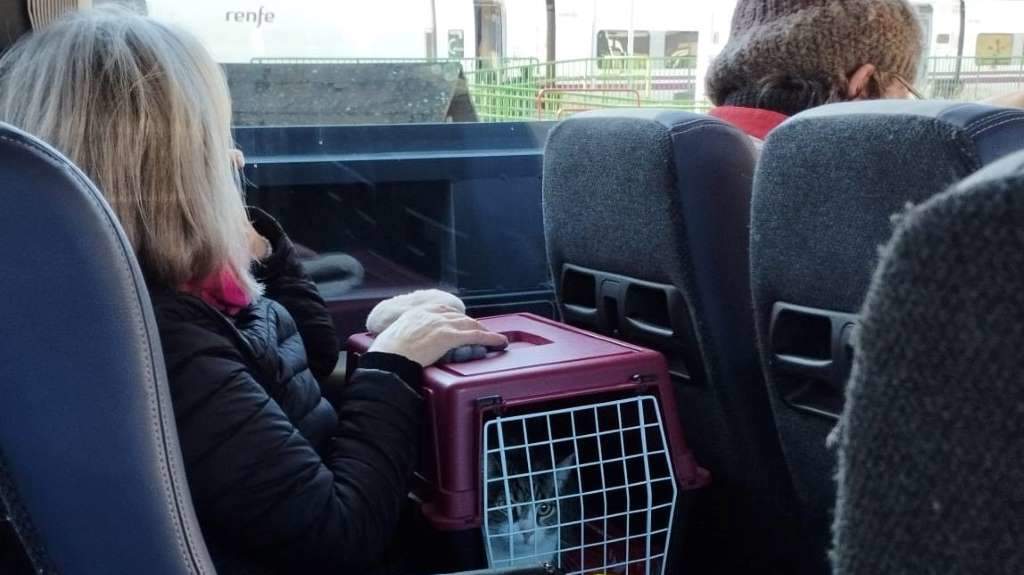 Unha muller co seu gato, após subir ao autobús. (Foto: H. G.)