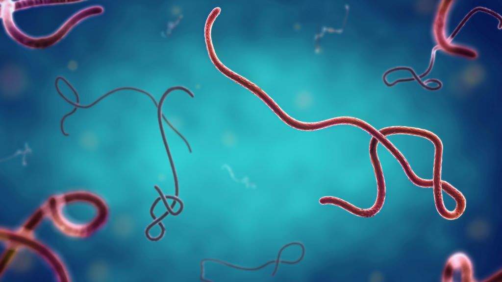 Activado o protocolo do ébola por un posíbel caso no Hospital de Donostia