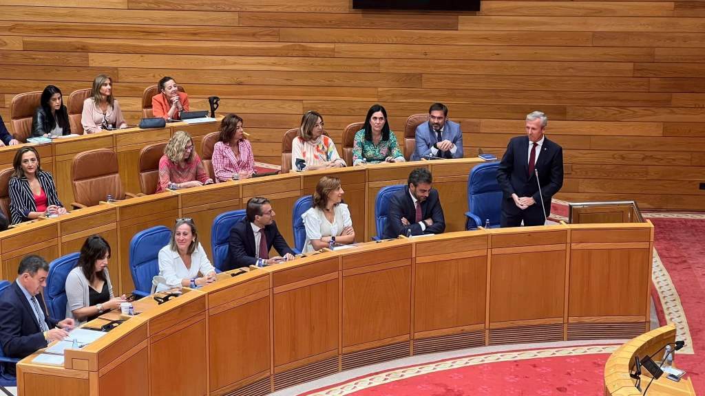 Intervención de Alfonso Rueda no pleno do Parlamento desta cuarta feira. (Foto: Europa Press)
